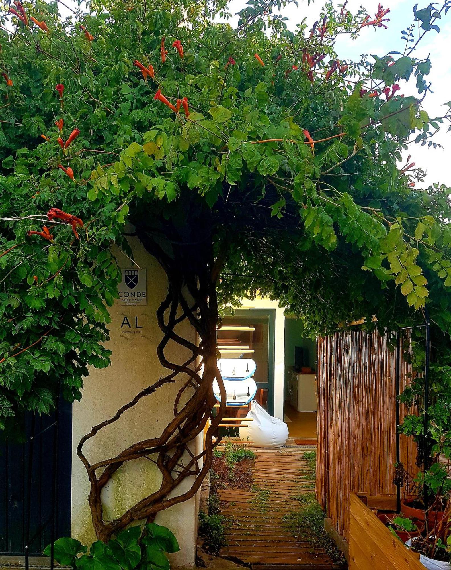 Conde Surf Camp - Junto Ao Mar - Entire Pvt House Villa Vila do Conde Exterior photo